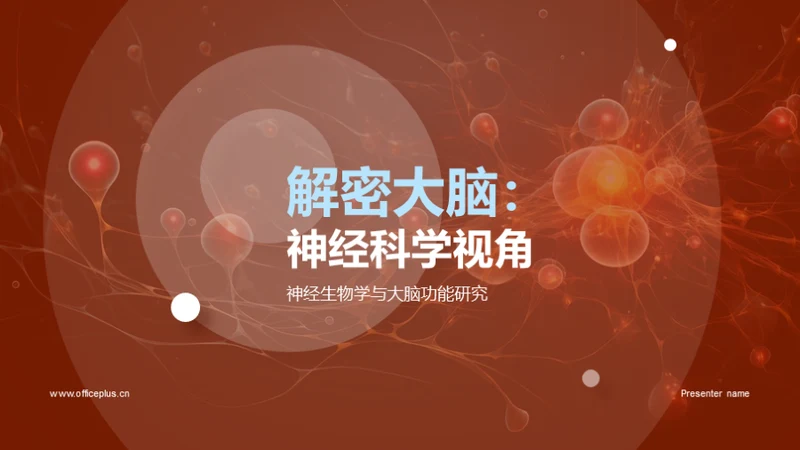 解密大脑：神经科学视角