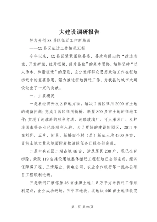 大建设调研报告.docx