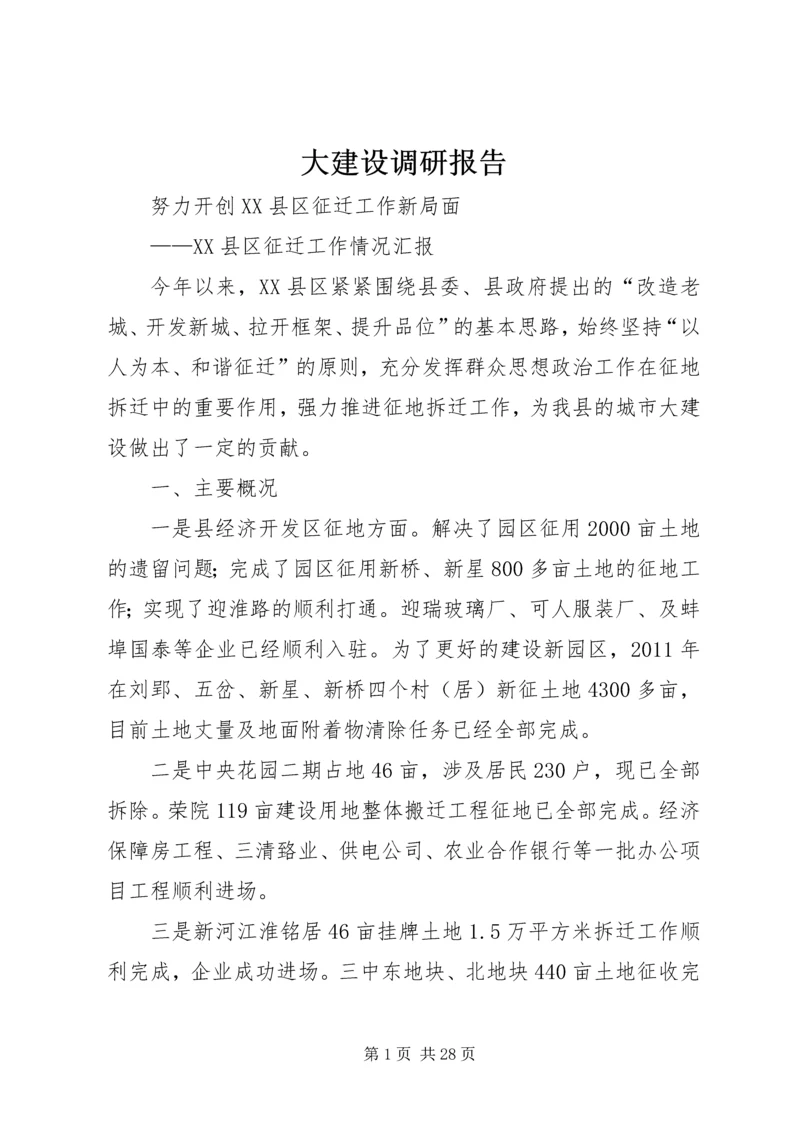 大建设调研报告.docx