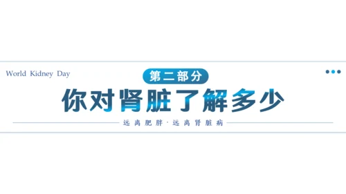 世界肾脏日肾病通用PPT课件医疗服务模板