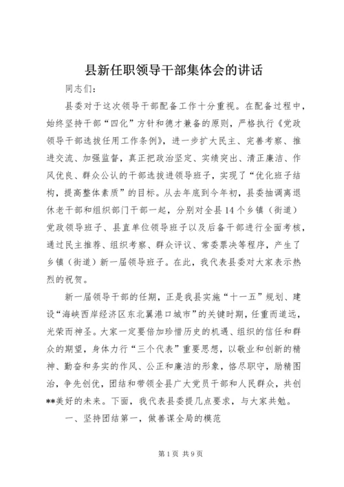 县新任职领导干部集体会的讲话.docx