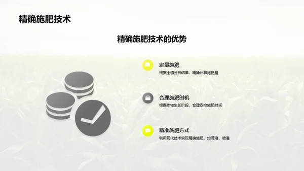 科技改变玉米种植