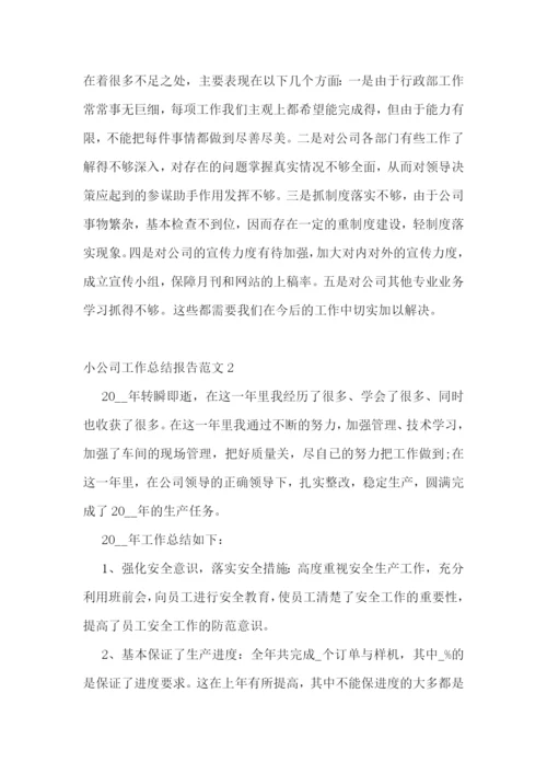 小公司工作总结报告范文.docx