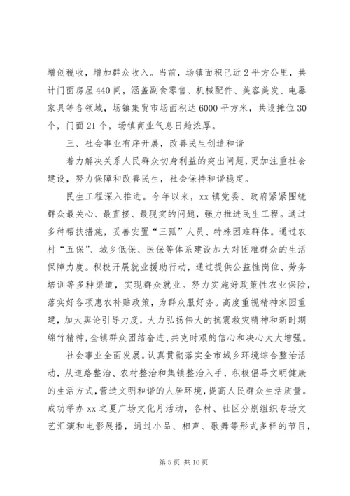 乡镇年度工作总结及工作安排.docx