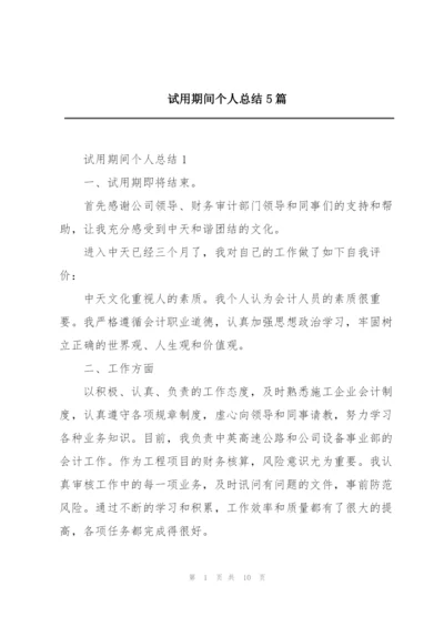 试用期间个人总结5篇.docx