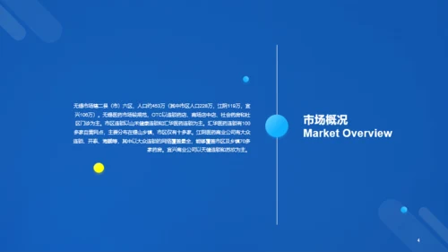 蓝色科技二级城市市场营销状况年度总结PPT案例
