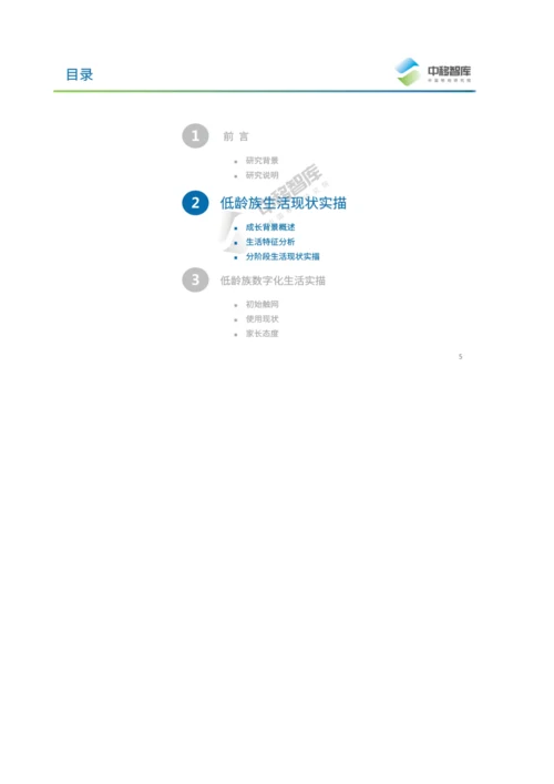 低龄族数字化生活洞察报告.docx