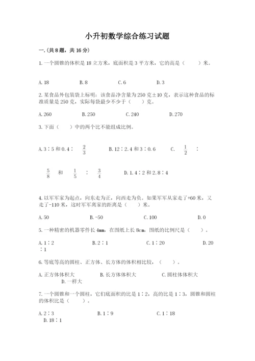 小升初数学综合练习试题（有一套）.docx