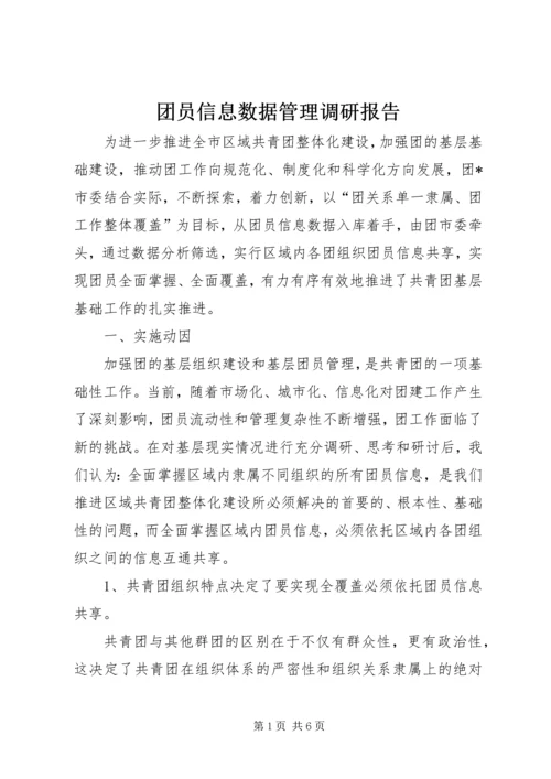 团员信息数据管理调研报告.docx