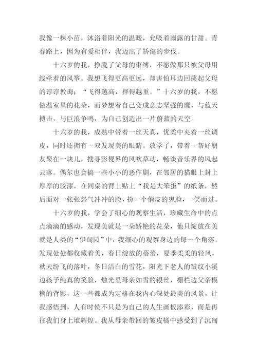 16岁的天空作文800字.docx