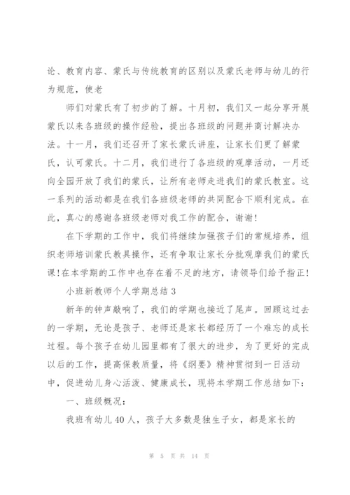 小班新教师个人学期总结5篇.docx