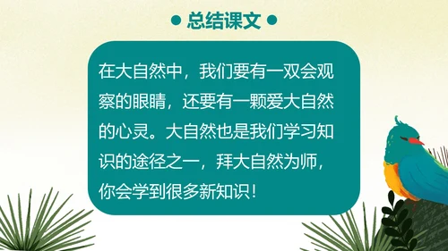 部编版三年级上册《搭船的鸟》