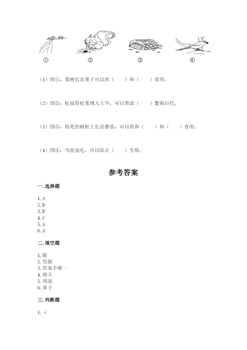 教科版二年级上册科学期末测试卷附完整答案【历年真题】.docx
