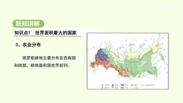 8.4.1 世界面积最大的国家 世界能源大国（课件28张）-2024-2025学年七年级地理下学期人