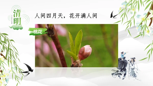清明节的由来习俗，春意通用PPT模板