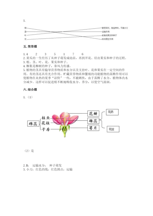 教科版科学四年级下册第一单元《植物的生长变化》测试卷精品（a卷）.docx