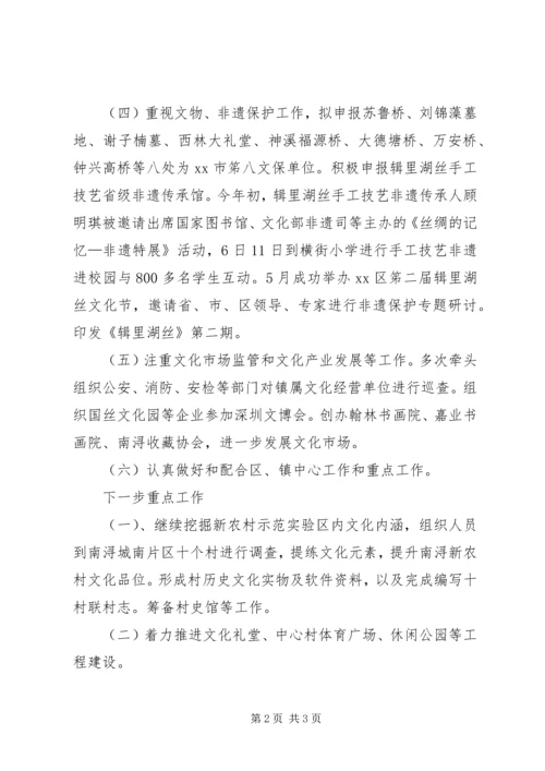 乡镇年度文化体育工作总结.docx