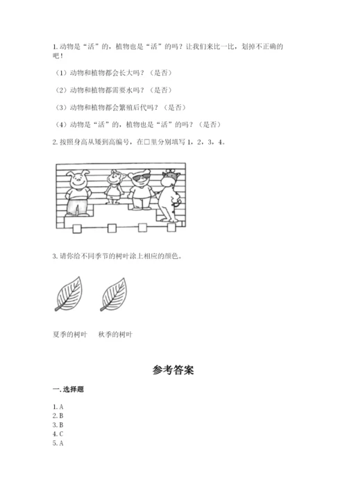 教科版一年级上册科学期末测试卷（综合题）.docx