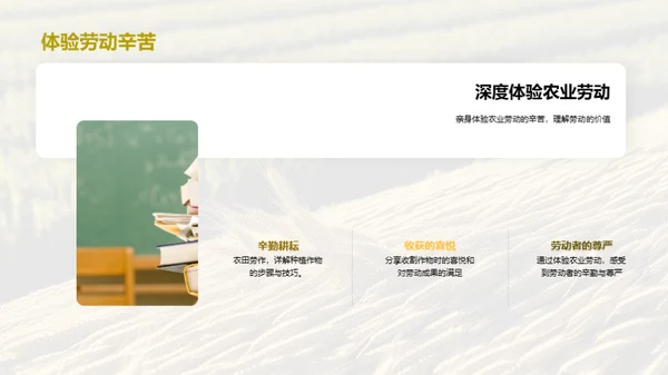 农业劳动之美