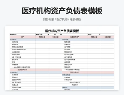 医疗机构资产负债表模板
