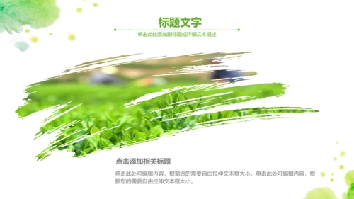 绿茶红茶茶叶茶厂茶文化茶道春茶PPT模板