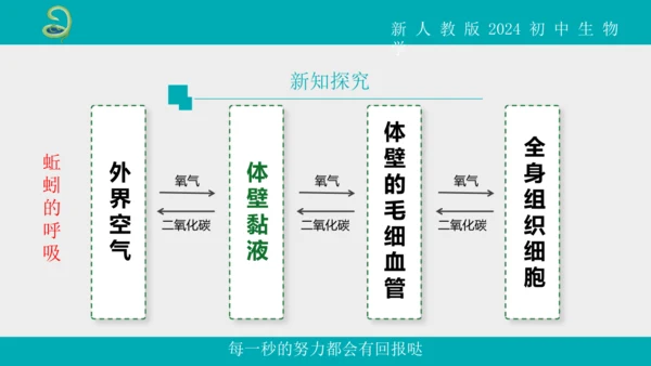人教版生物七年级上册2.2.1《无脊椎动物》教学课件(共40张PPT)+视频素材