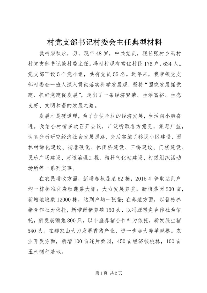 村党支部书记村委会主任典型材料.docx