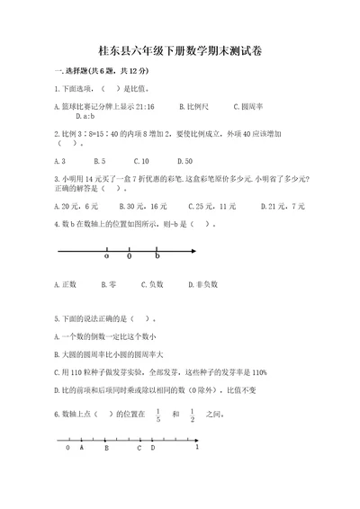 桂东县六年级下册数学期末测试卷及一套完整答案