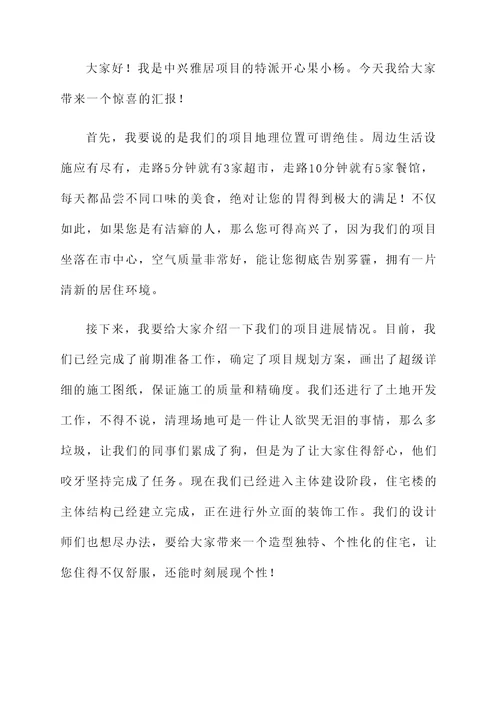 中兴雅居项目进展情况汇报