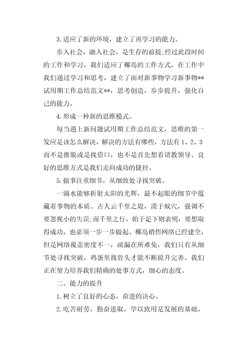 试用期总结及转正申请