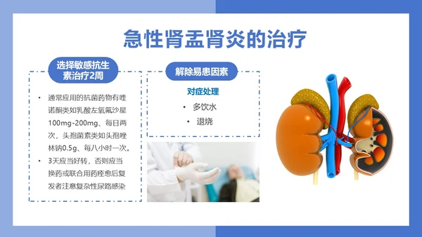医疗风医疗泌尿系感染PPT模板