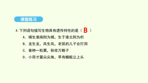 7.2.1基因控制生物的性状课件-人教版生物八年级下册(共26张PPT)