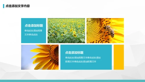 公司早会晨会例会通用PPT模板