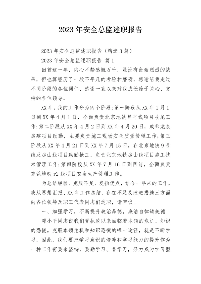 2023年安全总监述职报告.docx