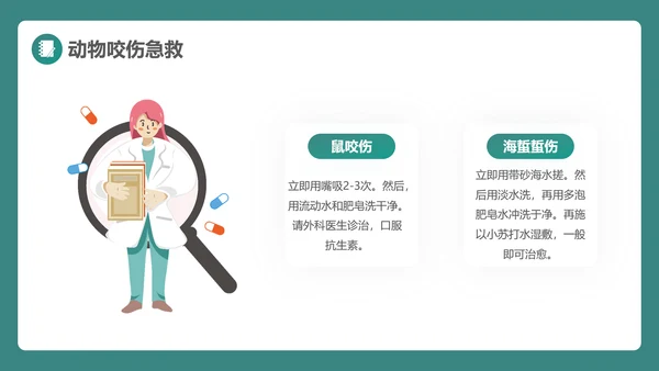 绿植风格日常急救知识PPT课件模板