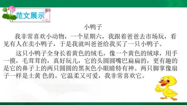 部编版二年级语文看图写话写动物课件