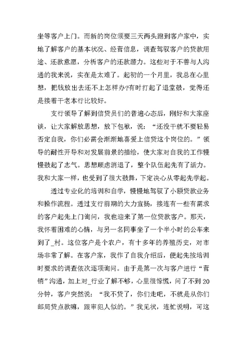 信贷员年终工作总结（10篇）