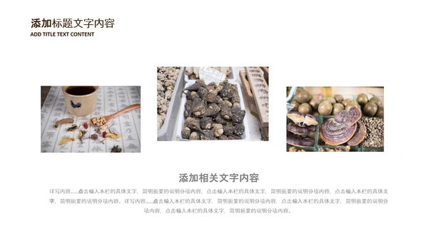 中医学养生保健医院中医文化中草药PPT