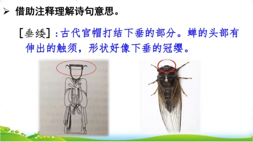 10.单元整理课
