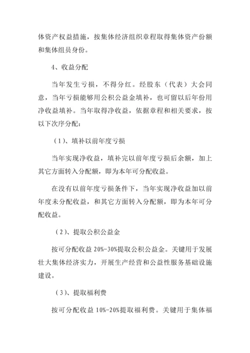 村集体产权核心制度改革实施专业方案.docx