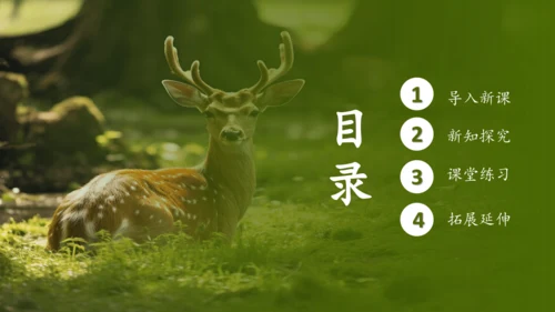 人教版生物八年级上册6.3《保护生物的多样性》课件(共27张PPT)
