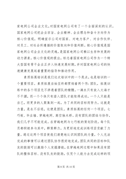 国网培训心得体会6篇.docx