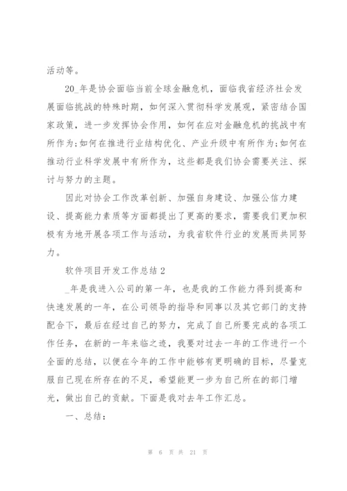 软件项目开发工作总结5篇.docx