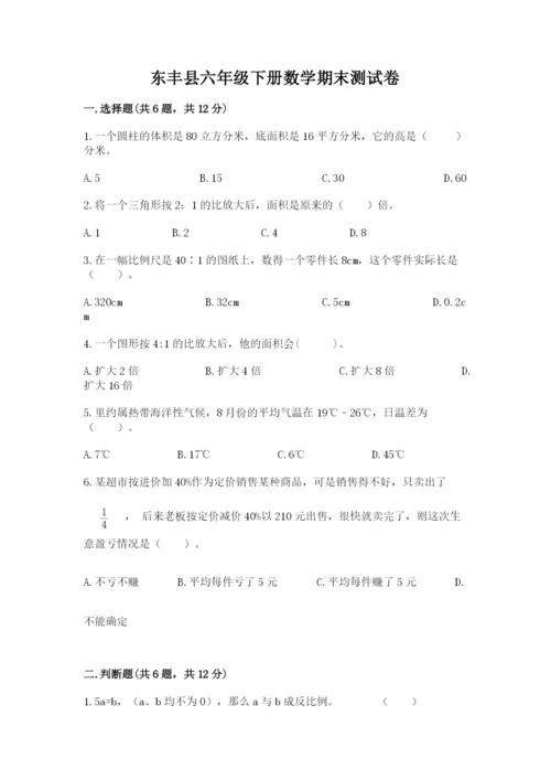 东丰县六年级下册数学期末测试卷及完整答案1套.docx