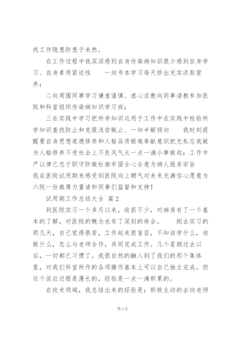 试用期工作总结大全.docx