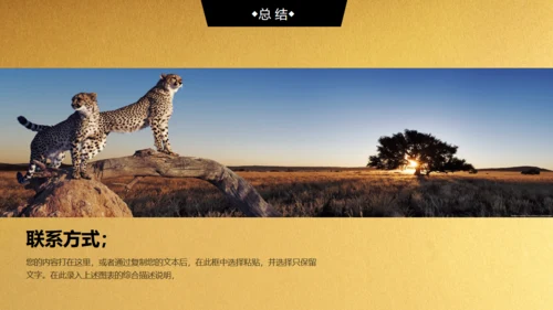 金色背景创业融资商业计划书通用PPT模板