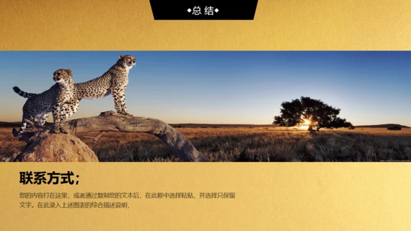 金色背景创业融资商业计划书通用PPT模板