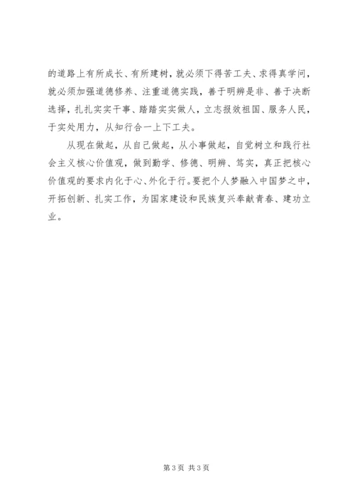 北大五四讲话学习心得 (4).docx