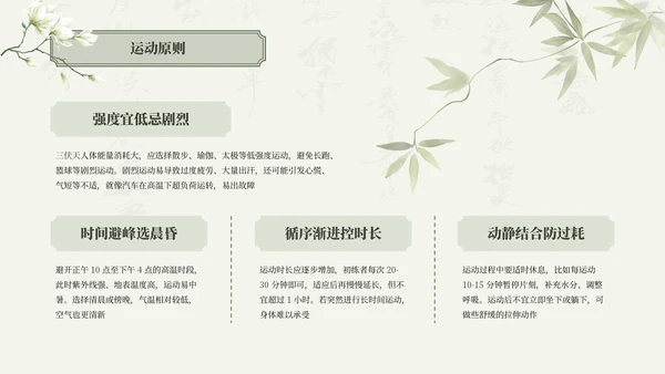 绿色清新中国风三伏天养生中医理疗知识讲座PPT模板