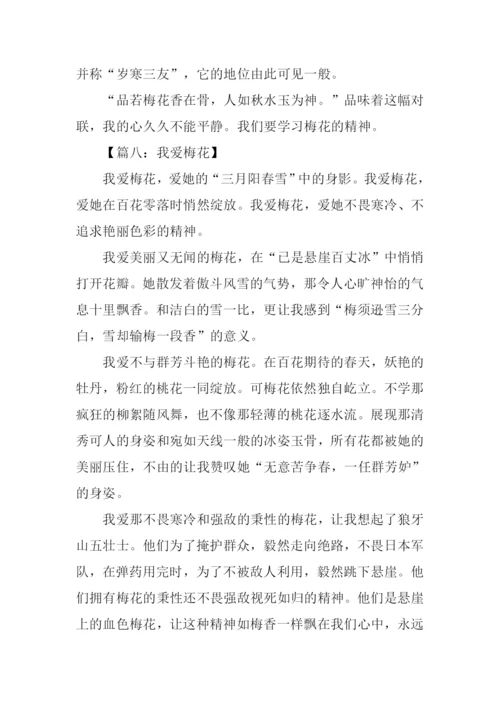 我爱梅花作文.docx